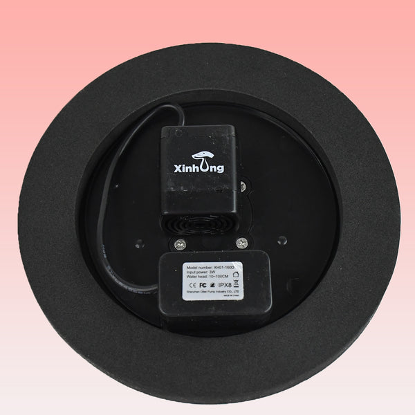 Solar-powered Floating Water Fountain Pump Kit